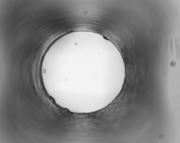 X0000103280289200809191813