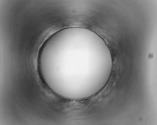 X0000103280290200809191813