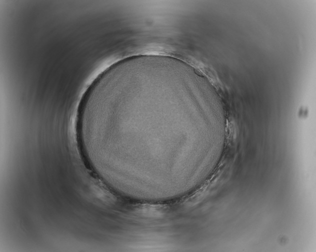 X0000103280292200809191813