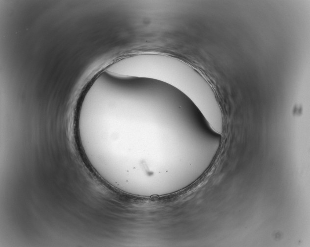 X0000103280293200809191813