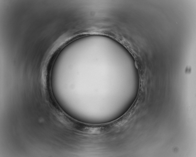 X0000103280295200809191813