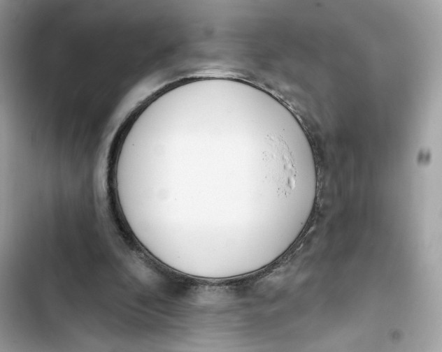 X0000103280296200809191813