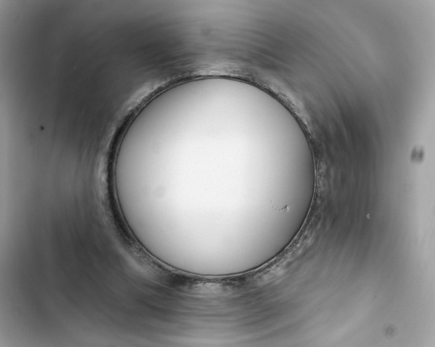 X0000103280298200809191813