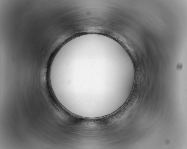 X0000103280299200809191813