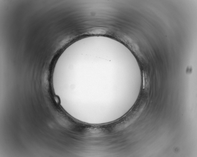 X0000103280300200809191813