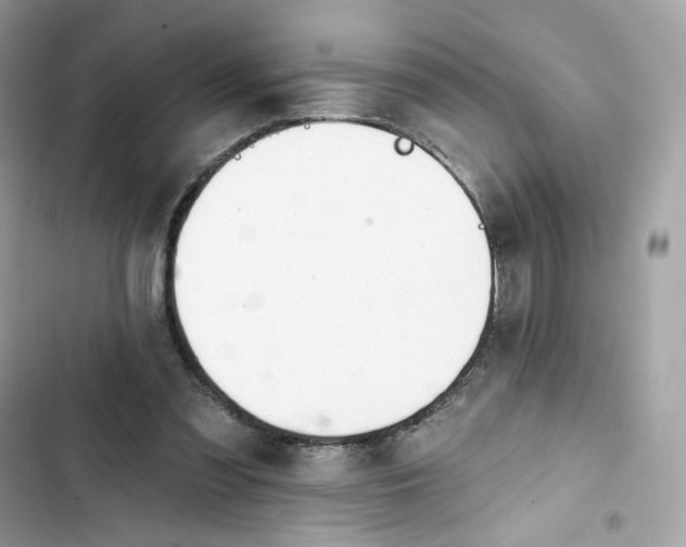 X0000103280301200809191813