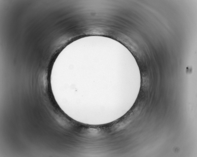 X0000103280302200809191813