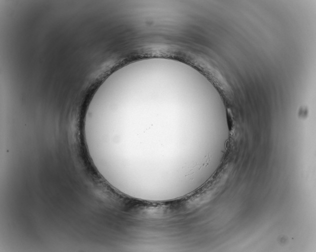 X0000103280306200809191812