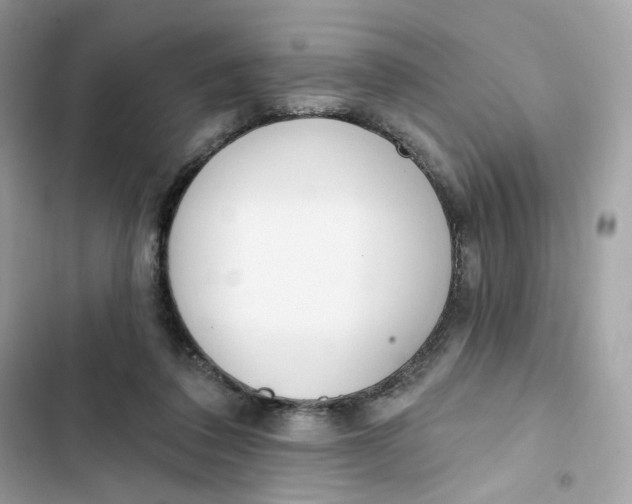 X0000103280308200809191812