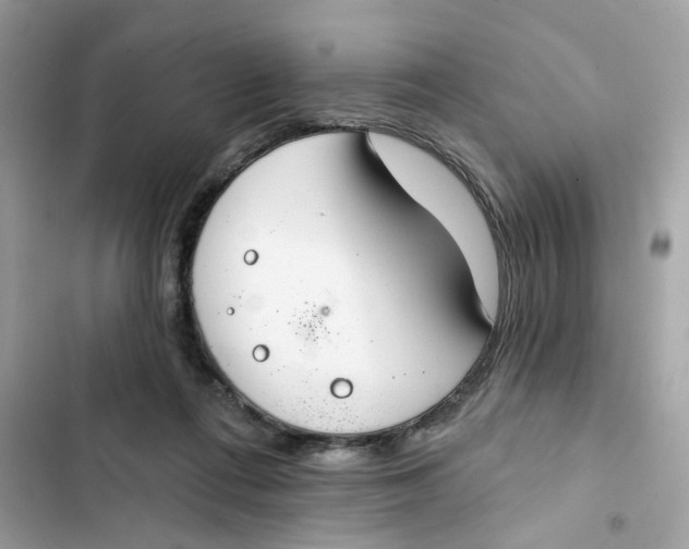 X0000103280312200809191812