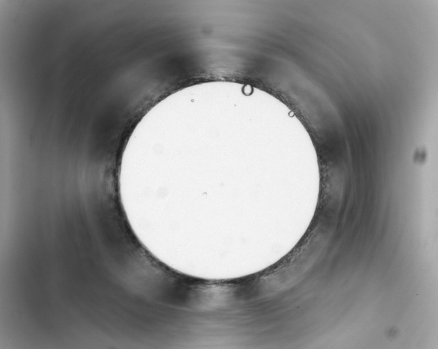 X0000103280313200809191812