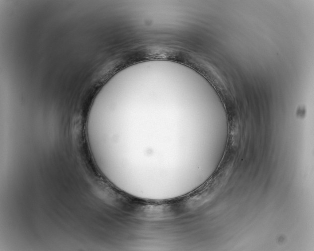 X0000103280314200809191812