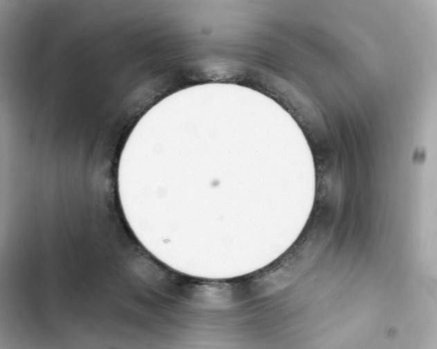 X0000103280317200809191812