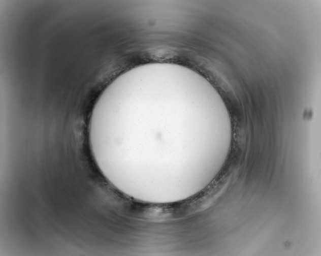 X0000103280319200809191812