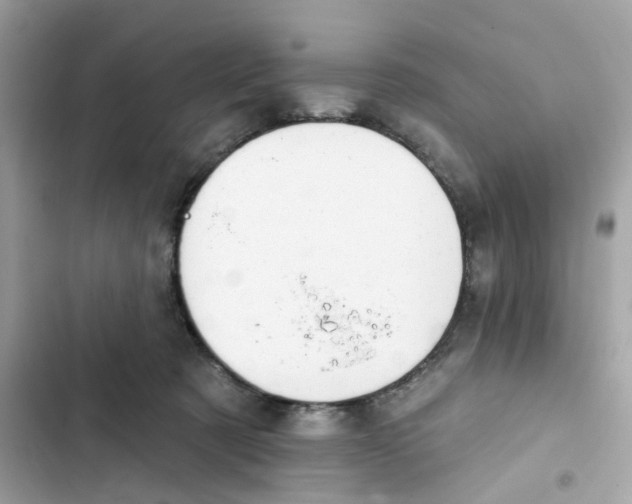 X0000103280321200809191812