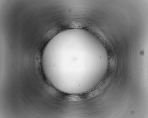 X0000103280322200809191812