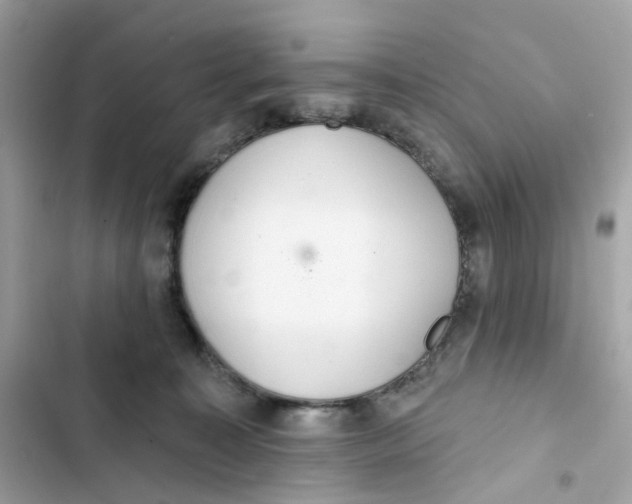 X0000103280323200809191812