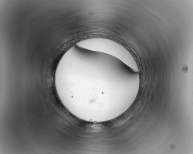 X0000103280324200809191812