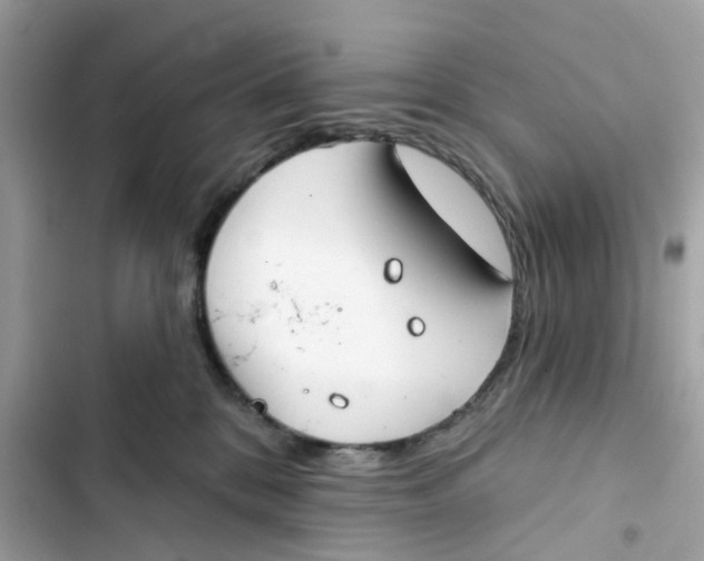 X0000103280328200809191812