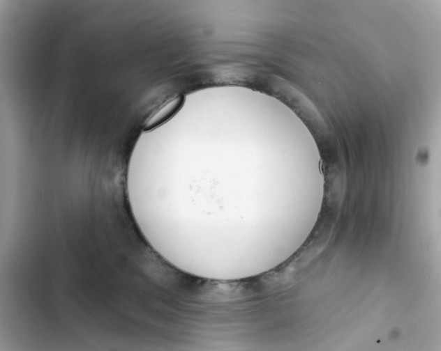 X0000103280329200809191812