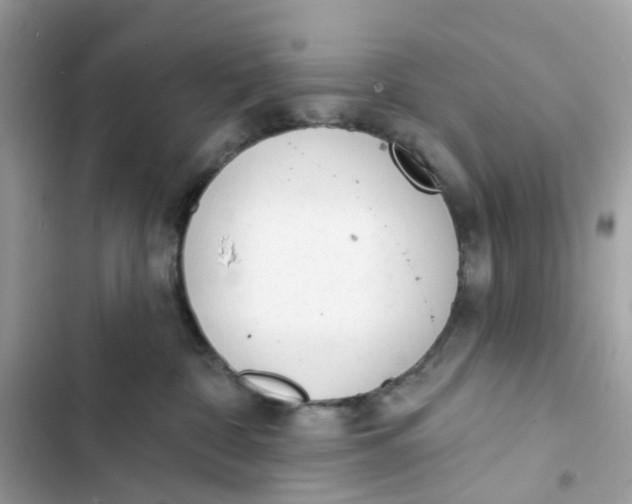 X0000103280332200809191812