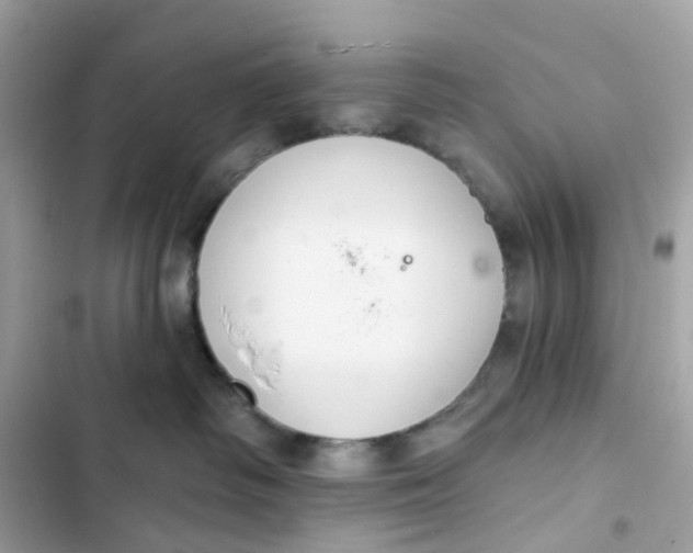 X0000103280334200809191812