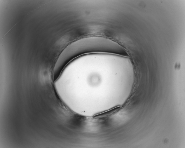 X0000103280336200809191812