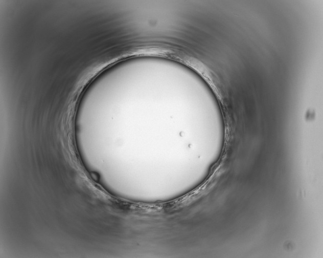 X0000103280337200809191811