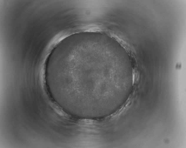 X0000103280339200809191811