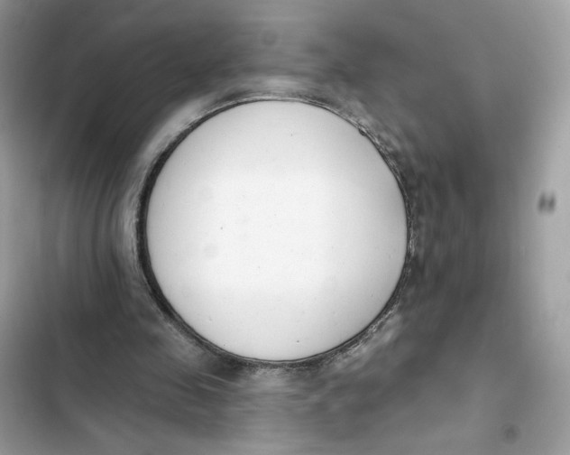 X0000103280341200809191811