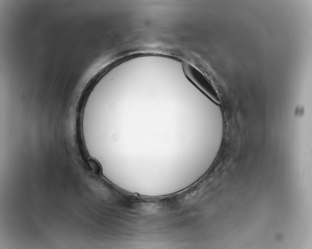 X0000103280344200809191811