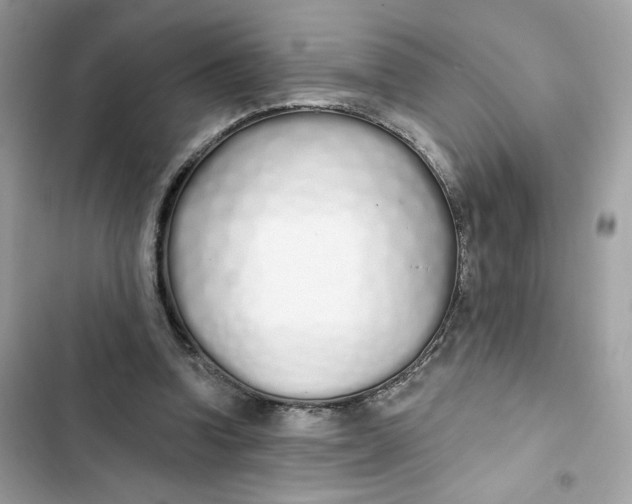 X0000103280346200809191811