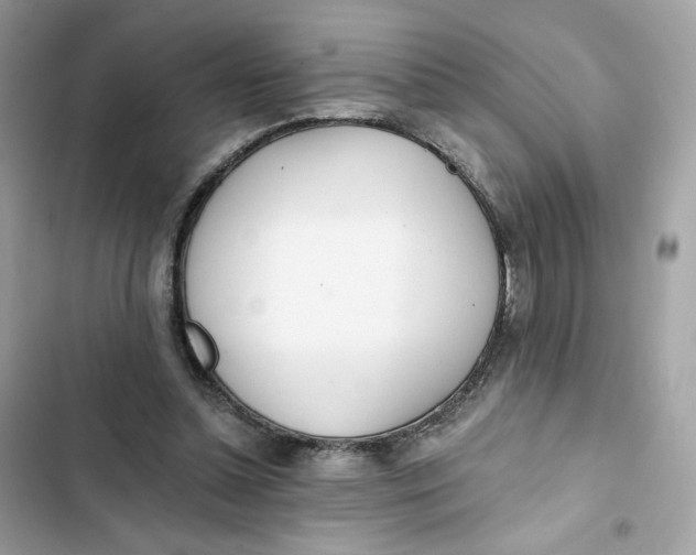 X0000103280348200809191811