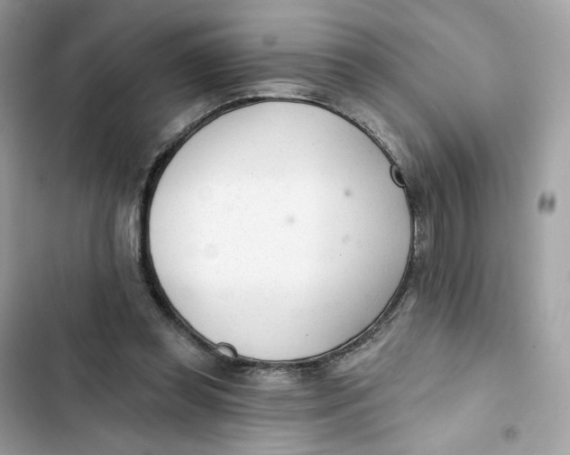 X0000103280349200809191811