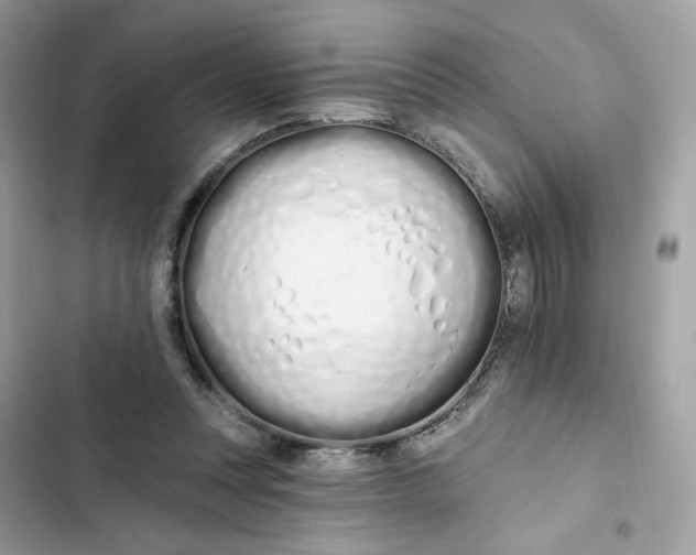 X0000103280351200809191811