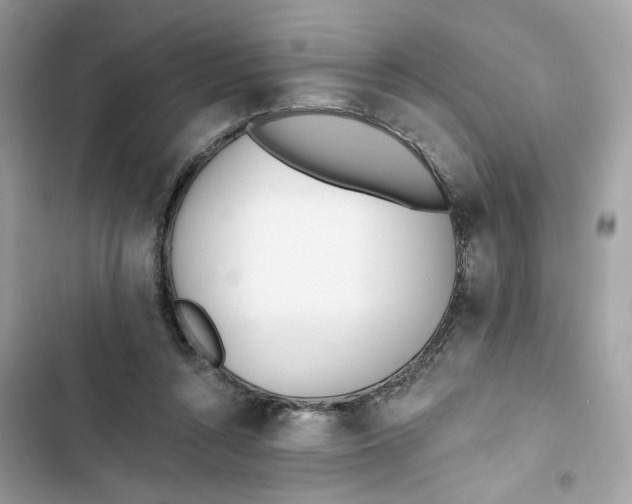 X0000103280352200809191811