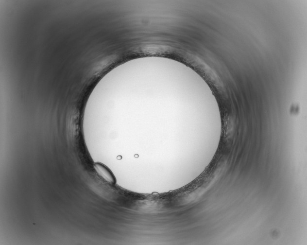 X0000103280356200809191811