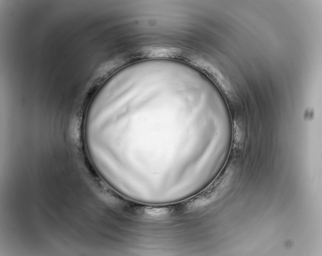 X0000103280357200809191811