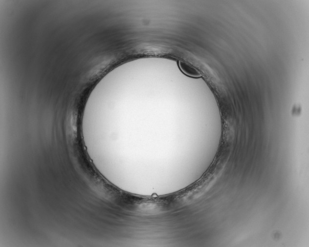 X0000103280358200809191811