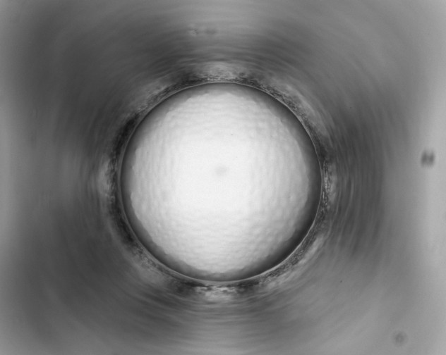 X0000103280359200809191811