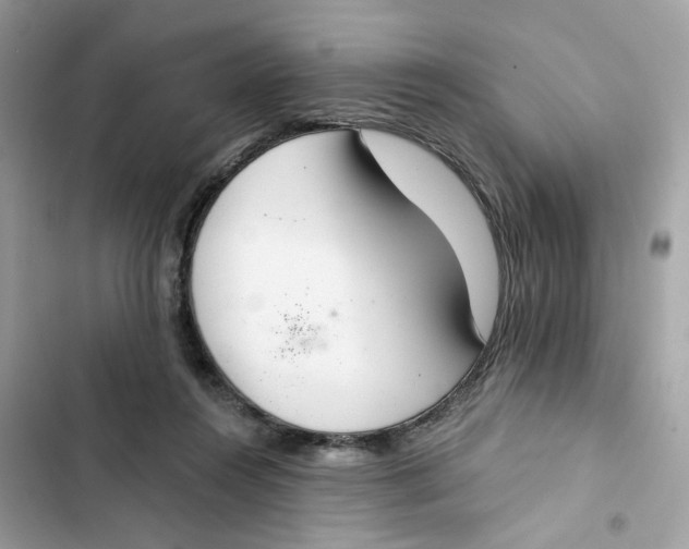 X0000103280360200809191811