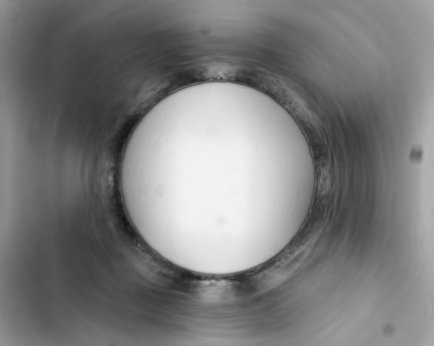 X0000103280363200809191812