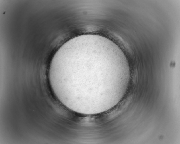 X0000103280366200809191812