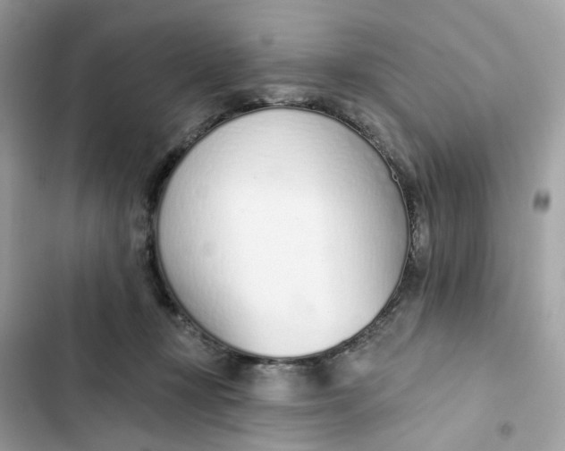 X0000103280367200809191812