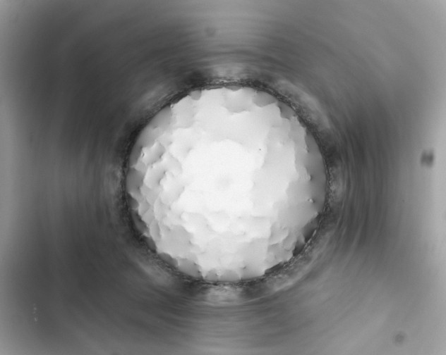 X0000103280369200809191812