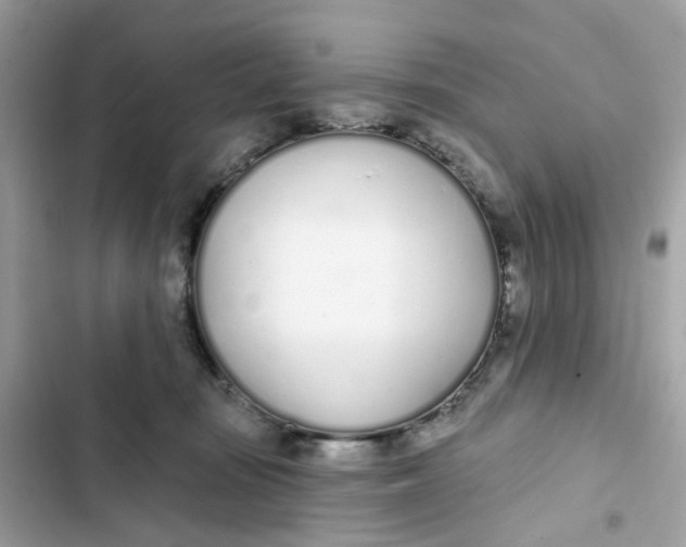 X0000103280371200809191812