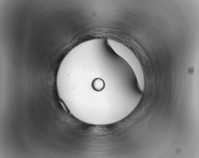 X0000103280372200809191812