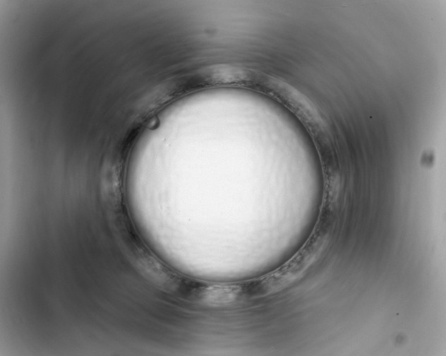 X0000103280373200809191812