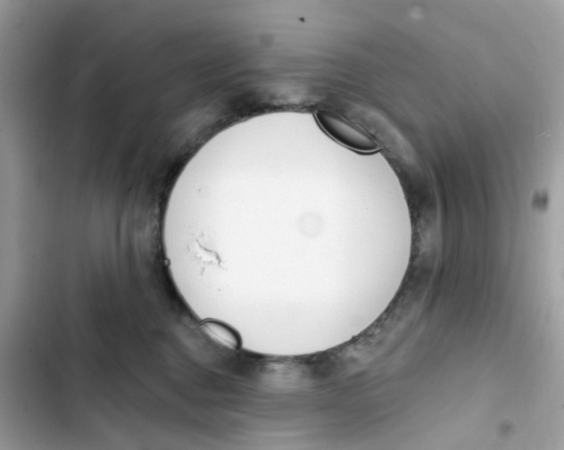 X0000103280376200809191812