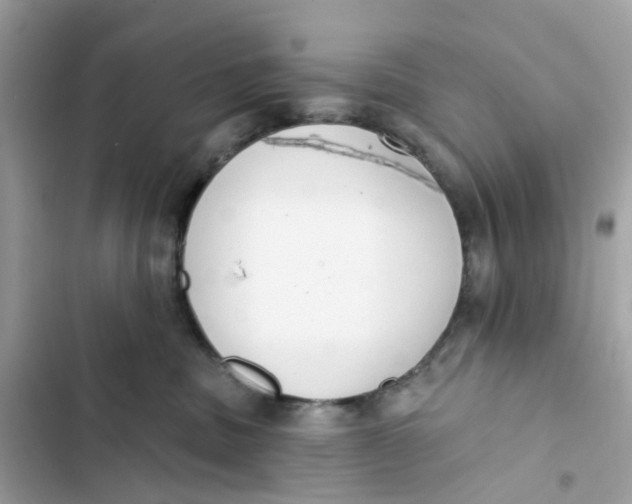 X0000103280379200809191812